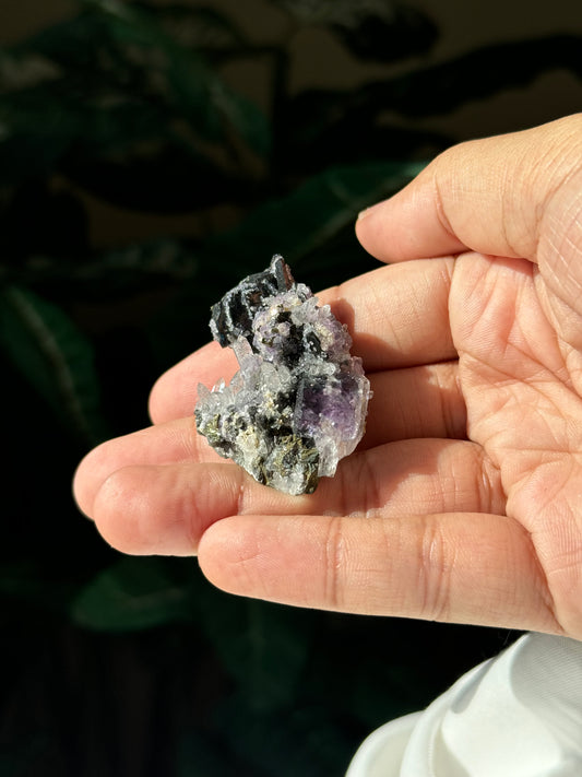 Quartz, Ferberite & Fluorite