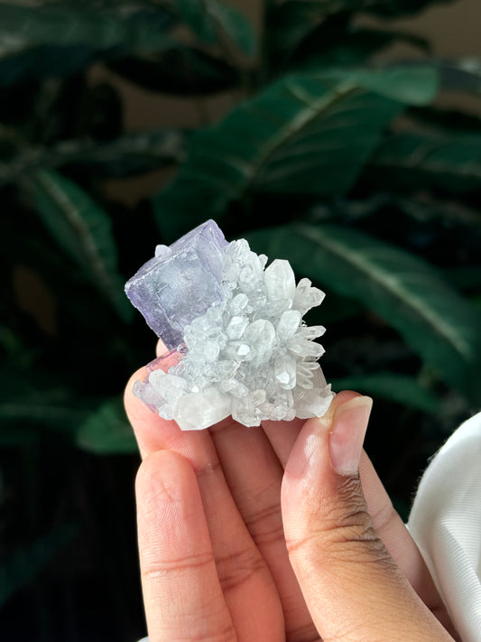 Quartz & Fluorite