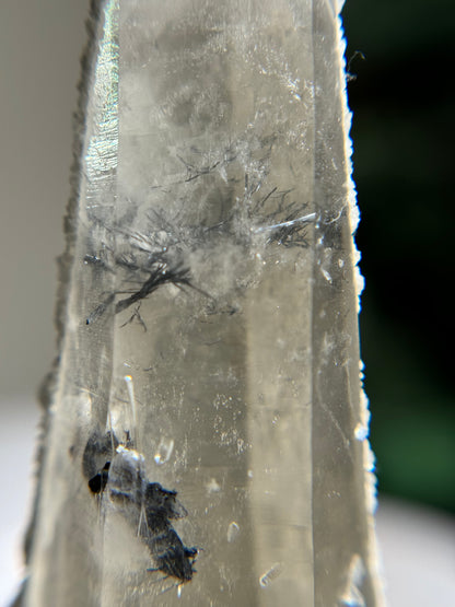 Quartz DT Wand with Dolomite and Ferberite