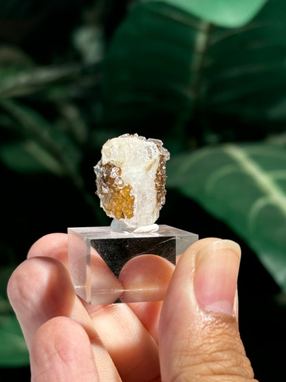 Danburite with Quartz