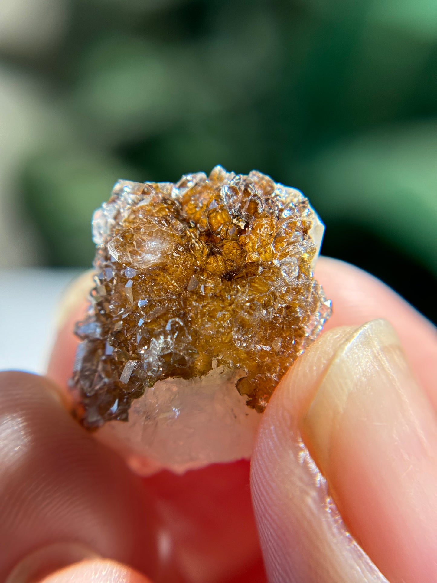 Danburite with Quartz