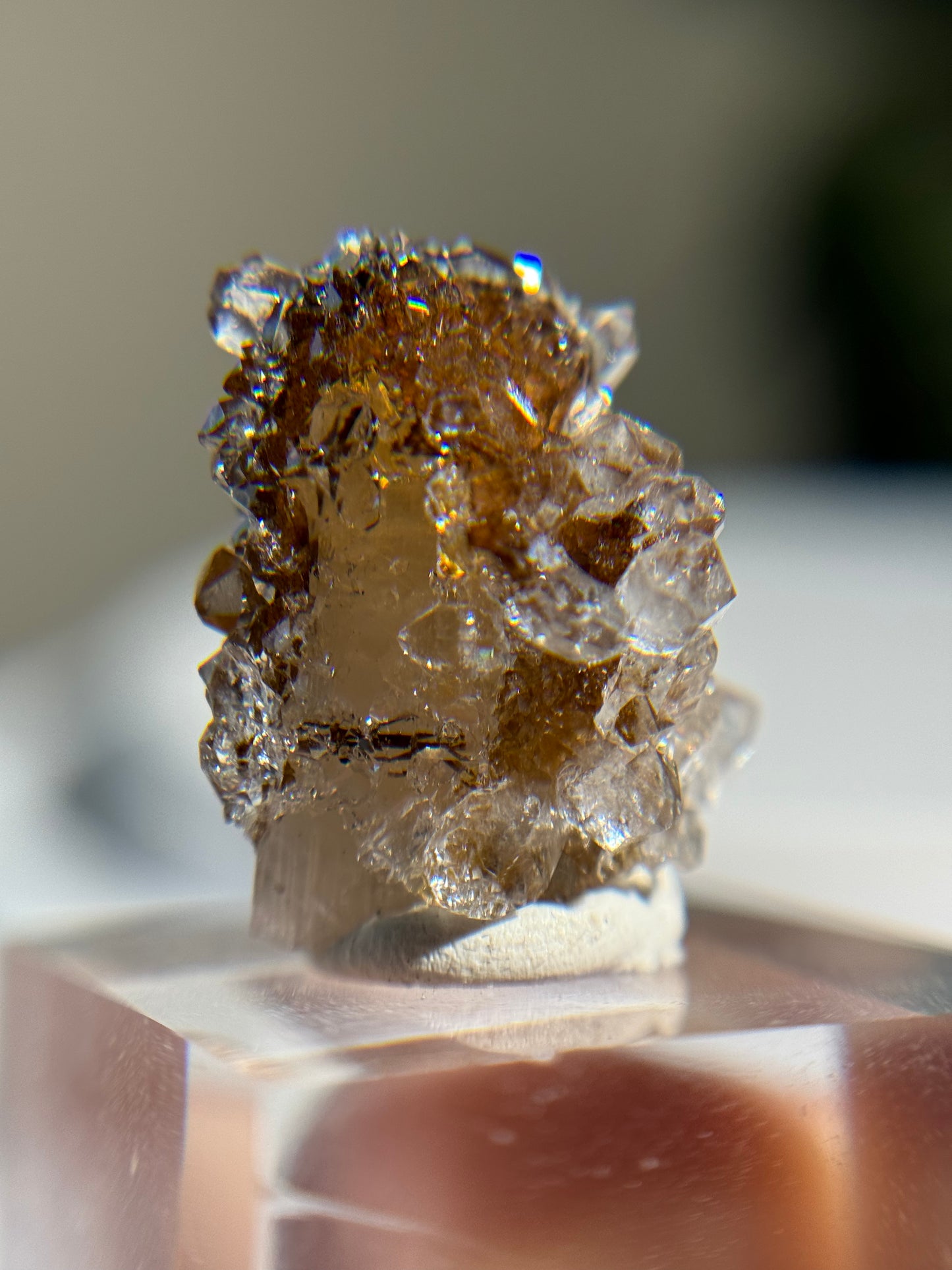 Danburite with Quartz