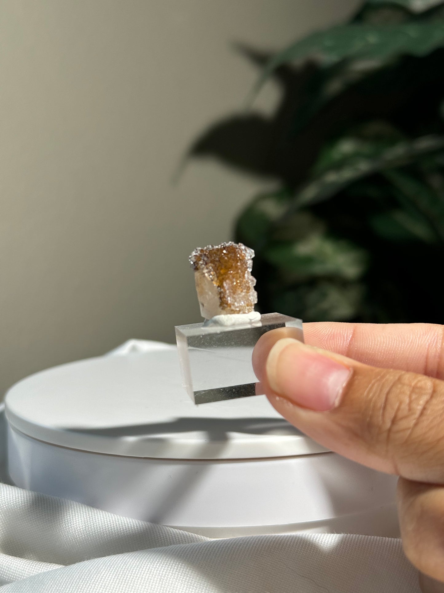 Danburite with Quartz