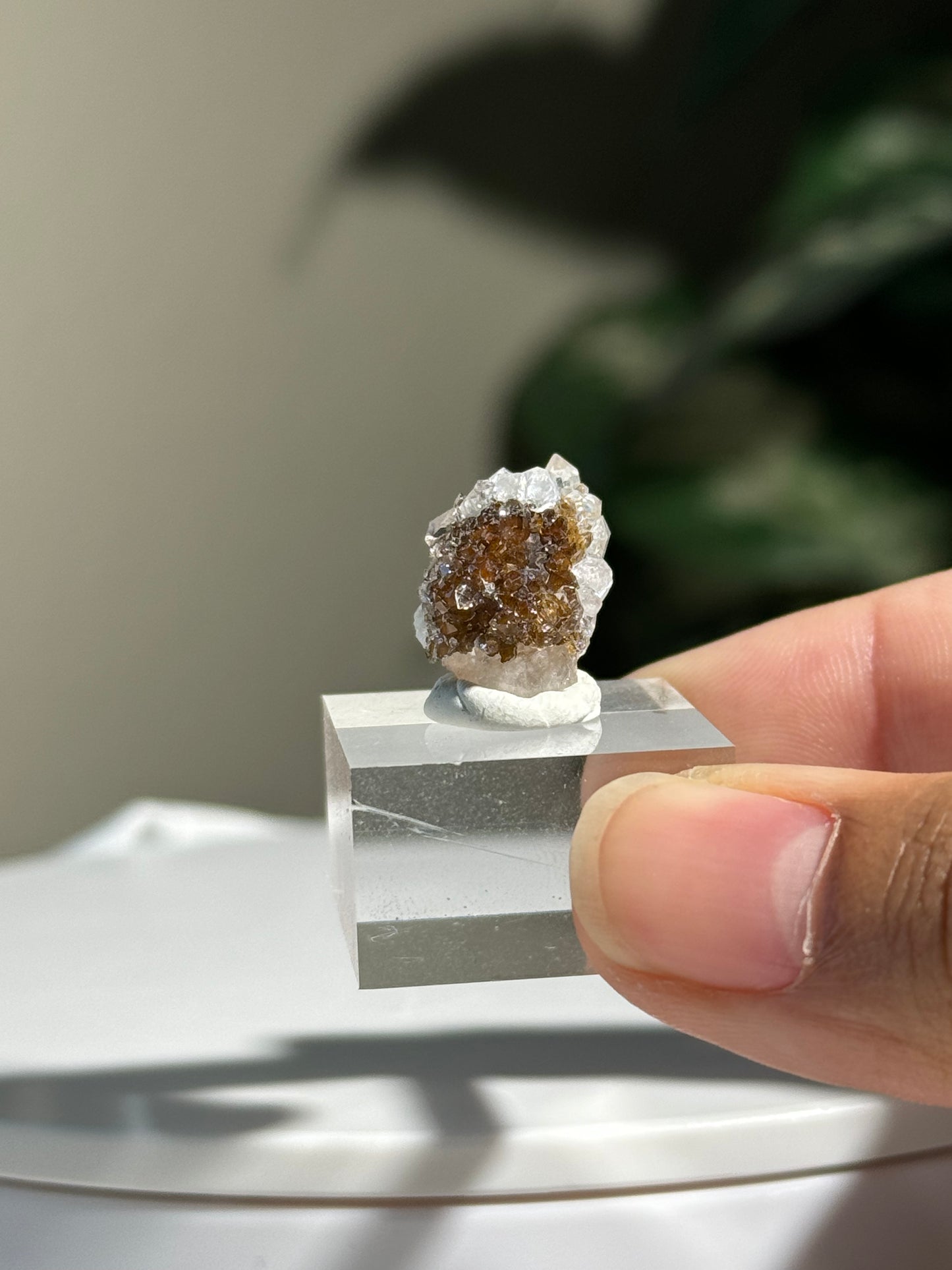 Danburite with Quartz