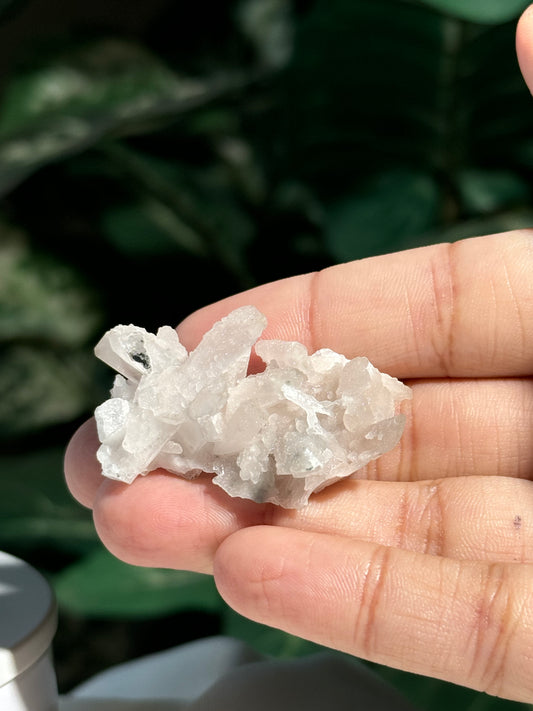 Danburite with Sugar Quartz Druze