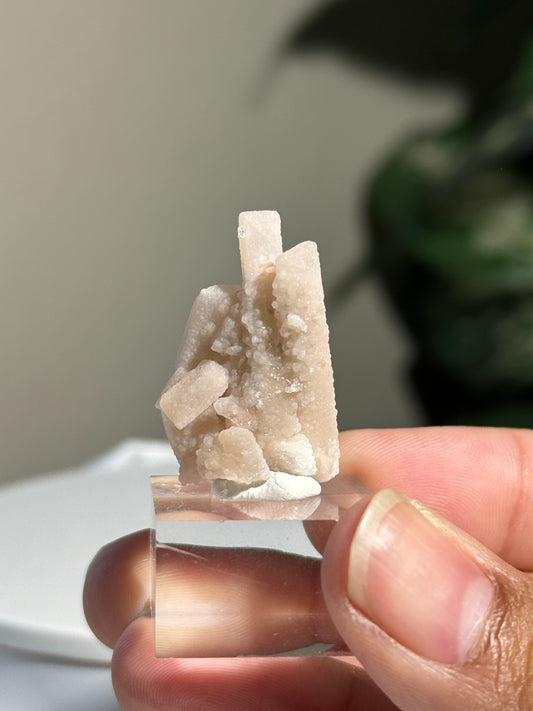 Danburite Cluster with Pink Botroiydal Datolite