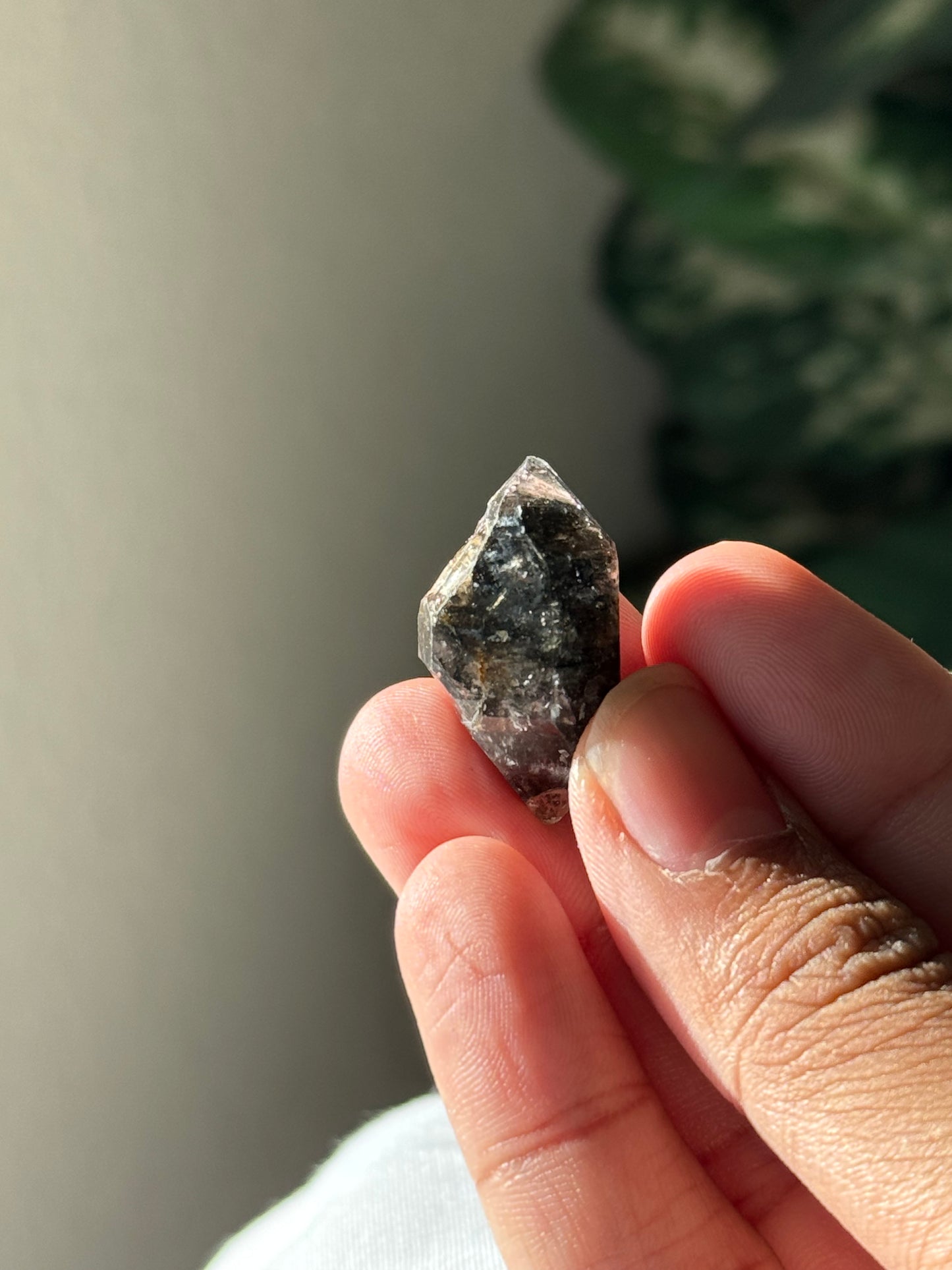 Quartz with Carbon Inclusions