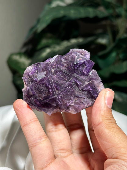 Fluorite (Guizhou)