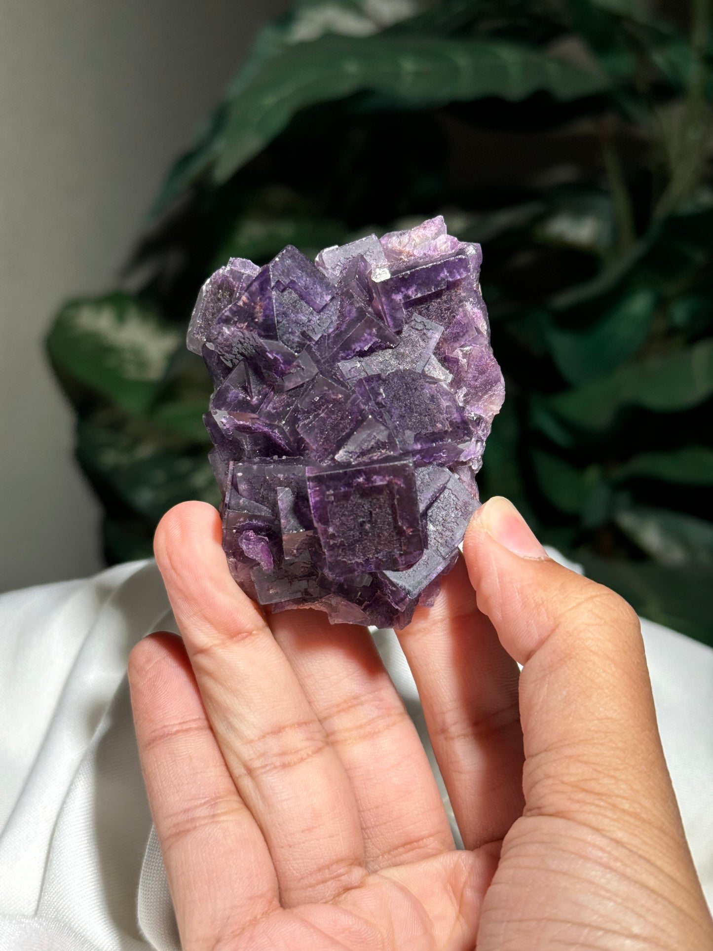 Fluorite (Guizhou)