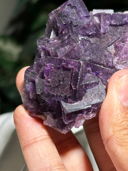 Fluorite (Guizhou)