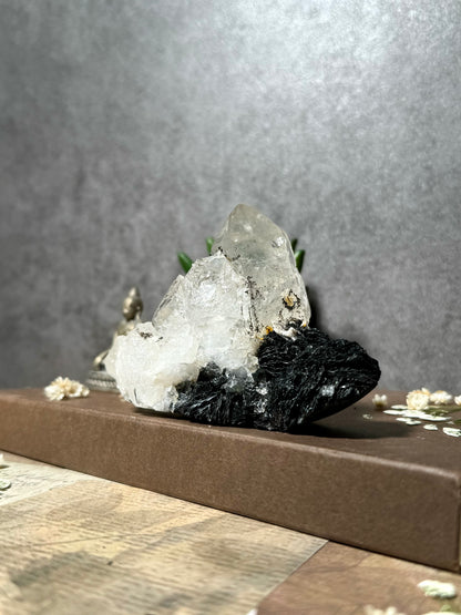 Quartz with Hematite (Old Stock)