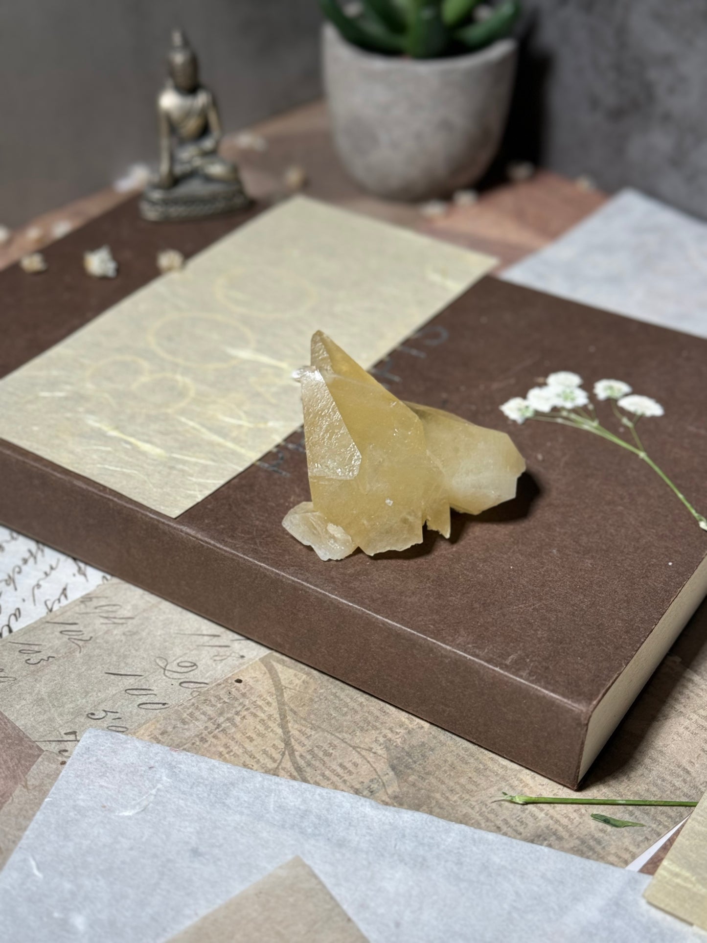 Golden Dogtooth Calcite