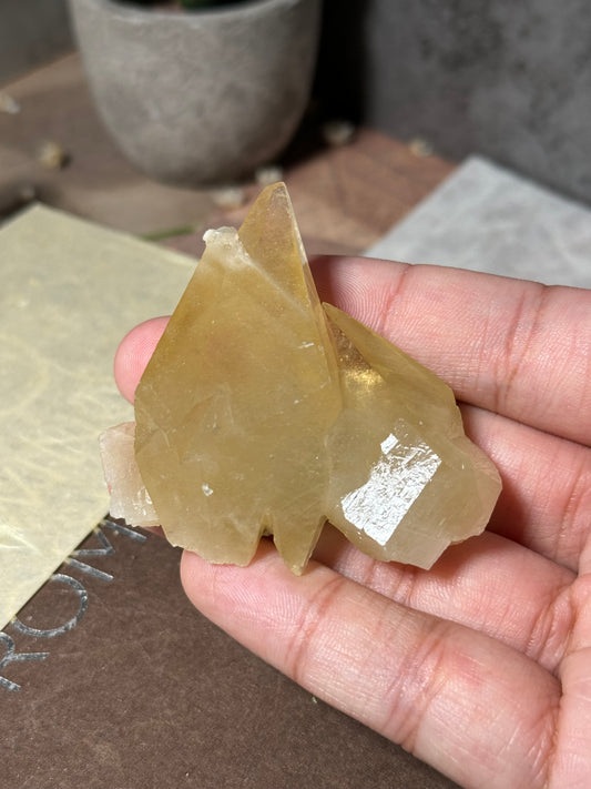 Golden Dogtooth Calcite