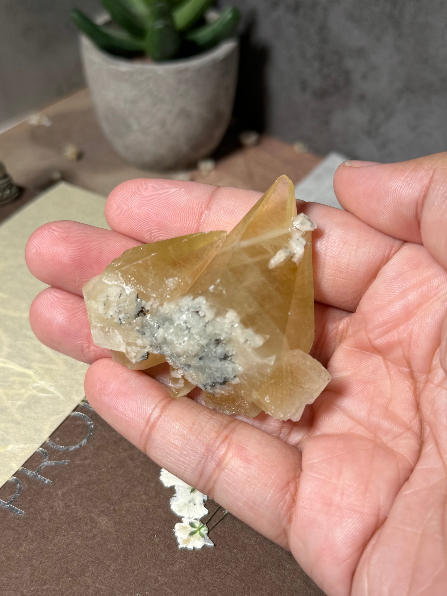 Golden Dogtooth Calcite