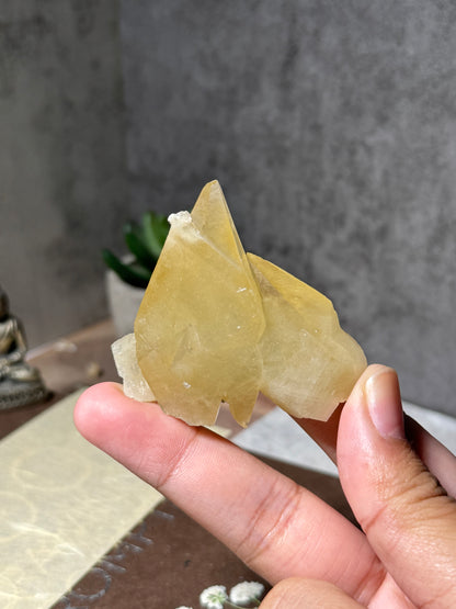 Golden Dogtooth Calcite