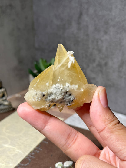 Golden Dogtooth Calcite