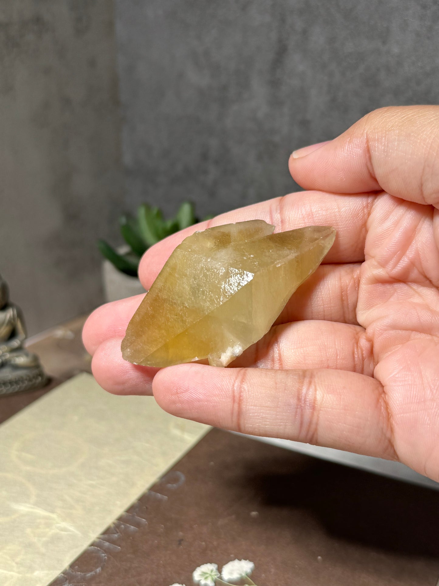 Golden Dogtooth Calcite