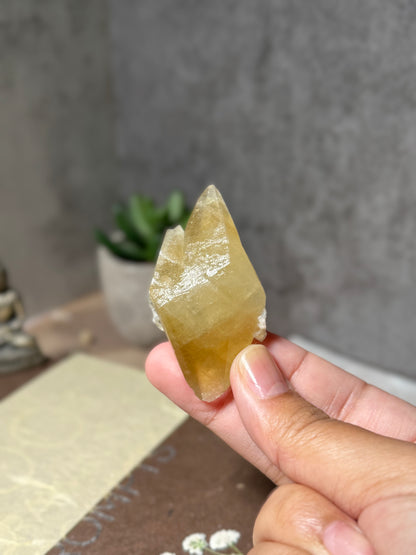 Golden Dogtooth Calcite