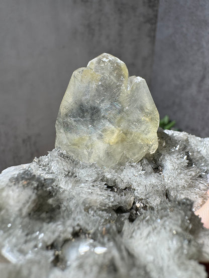 Golden Gem Calcite Flame on Feather Calcite Matrix