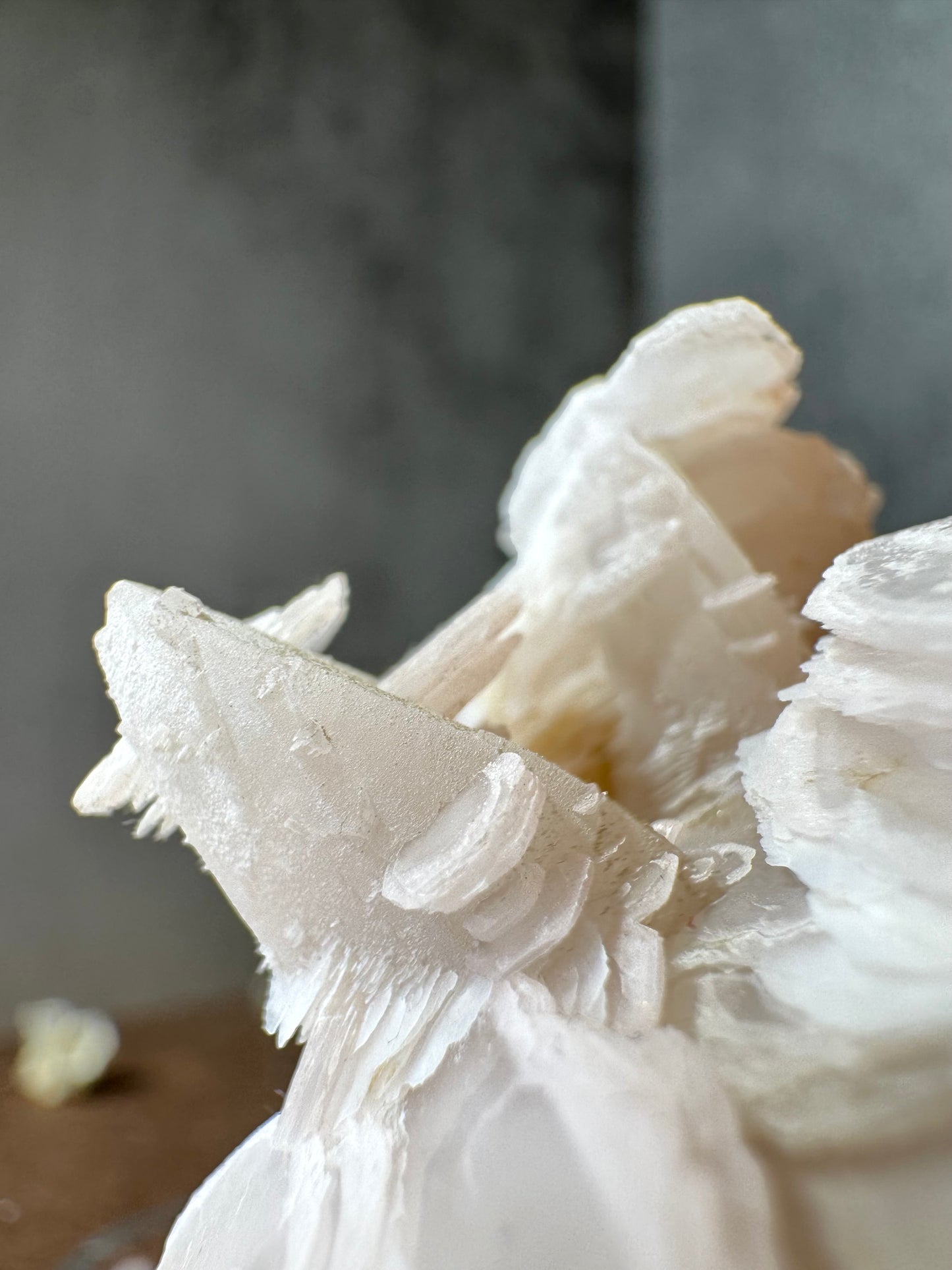 Pink Disc Calcite on Calcite