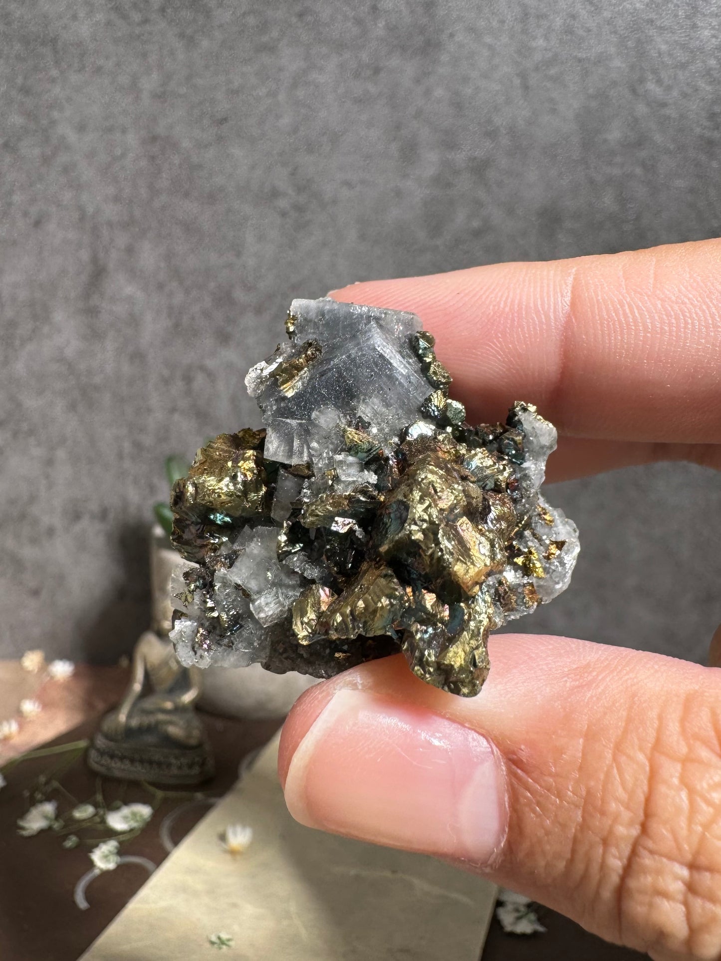 Gem Dolomite with Fibrous Black Inclusions and Iridescent Chalcopyrite