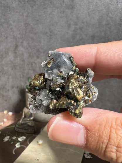 Gem Dolomite with Fibrous Black Inclusions and Iridescent Chalcopyrite