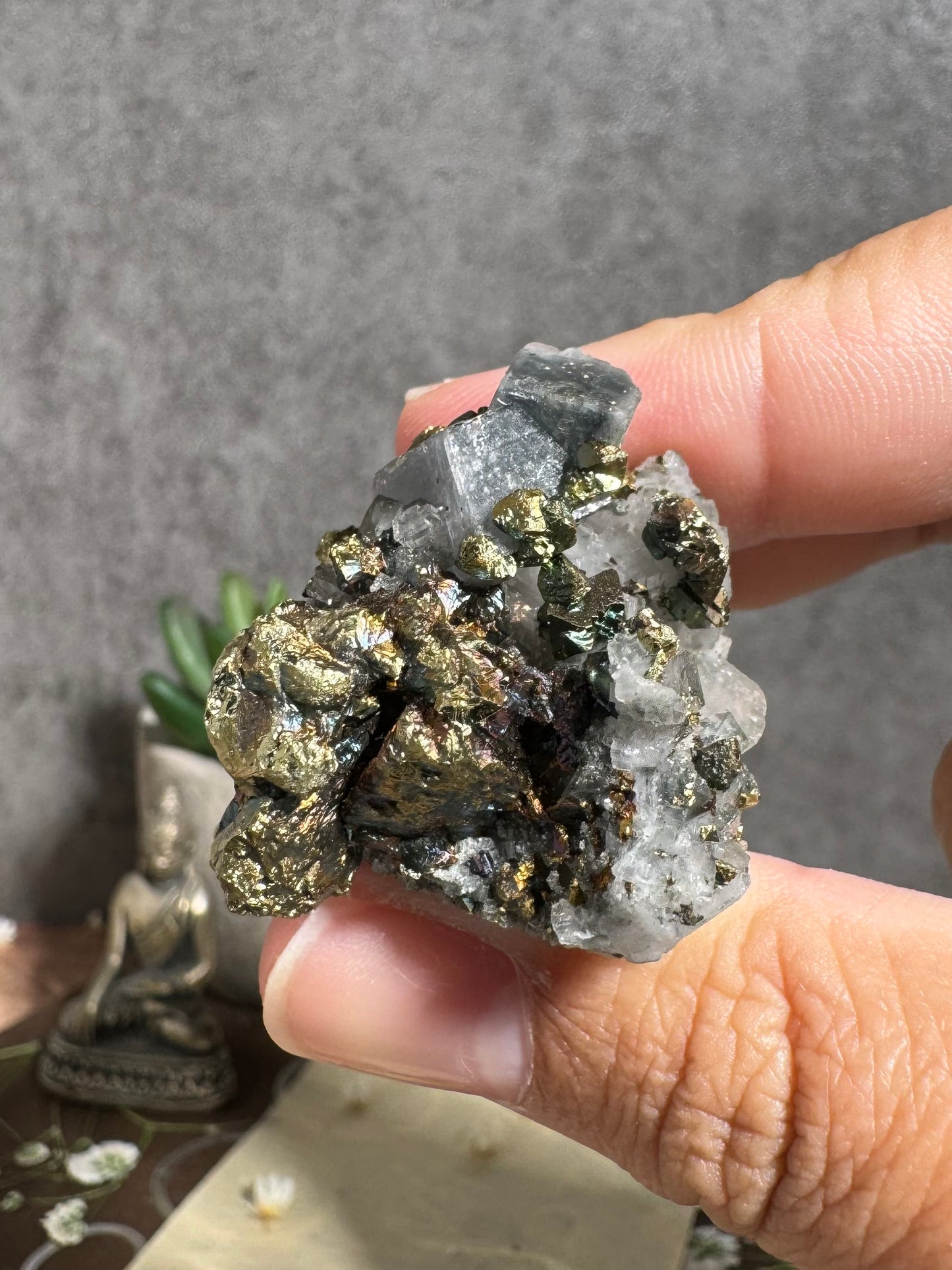 Gem Dolomite with Fibrous Black Inclusions and Iridescent Chalcopyrite