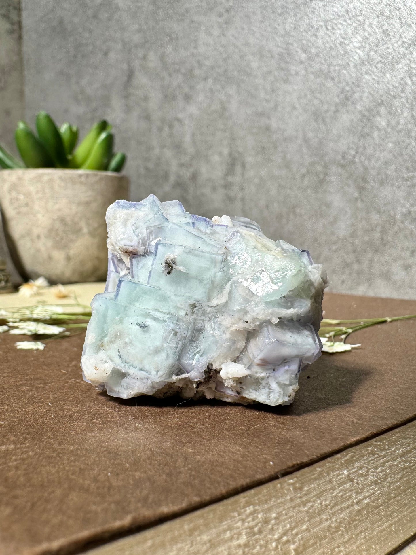 Porcelain Fluorite (First Generation)