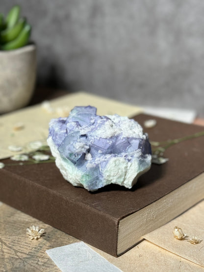 Porcelain Fluorite (Second Generation)