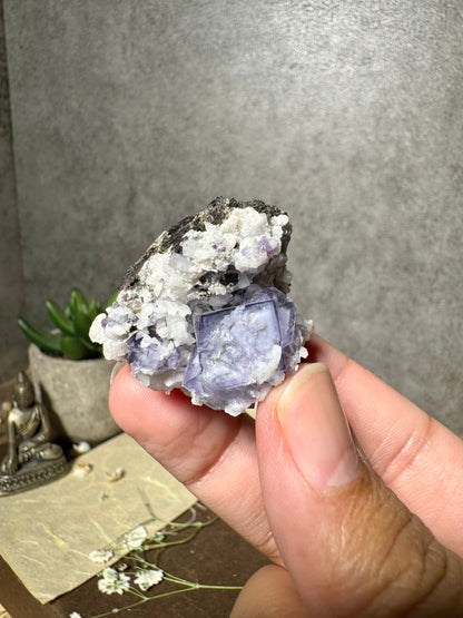 Porcelain Fluorite with Hübnerite (Second Generation)