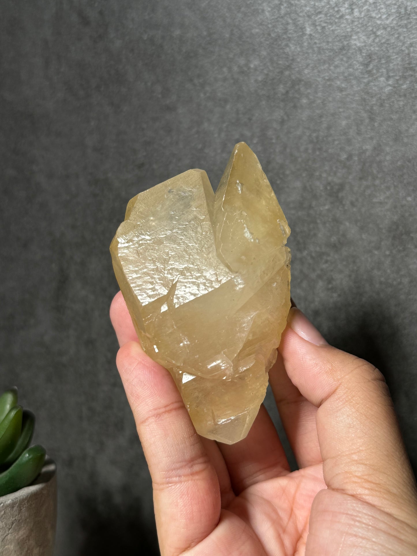 Golden Dogtooth Calcite