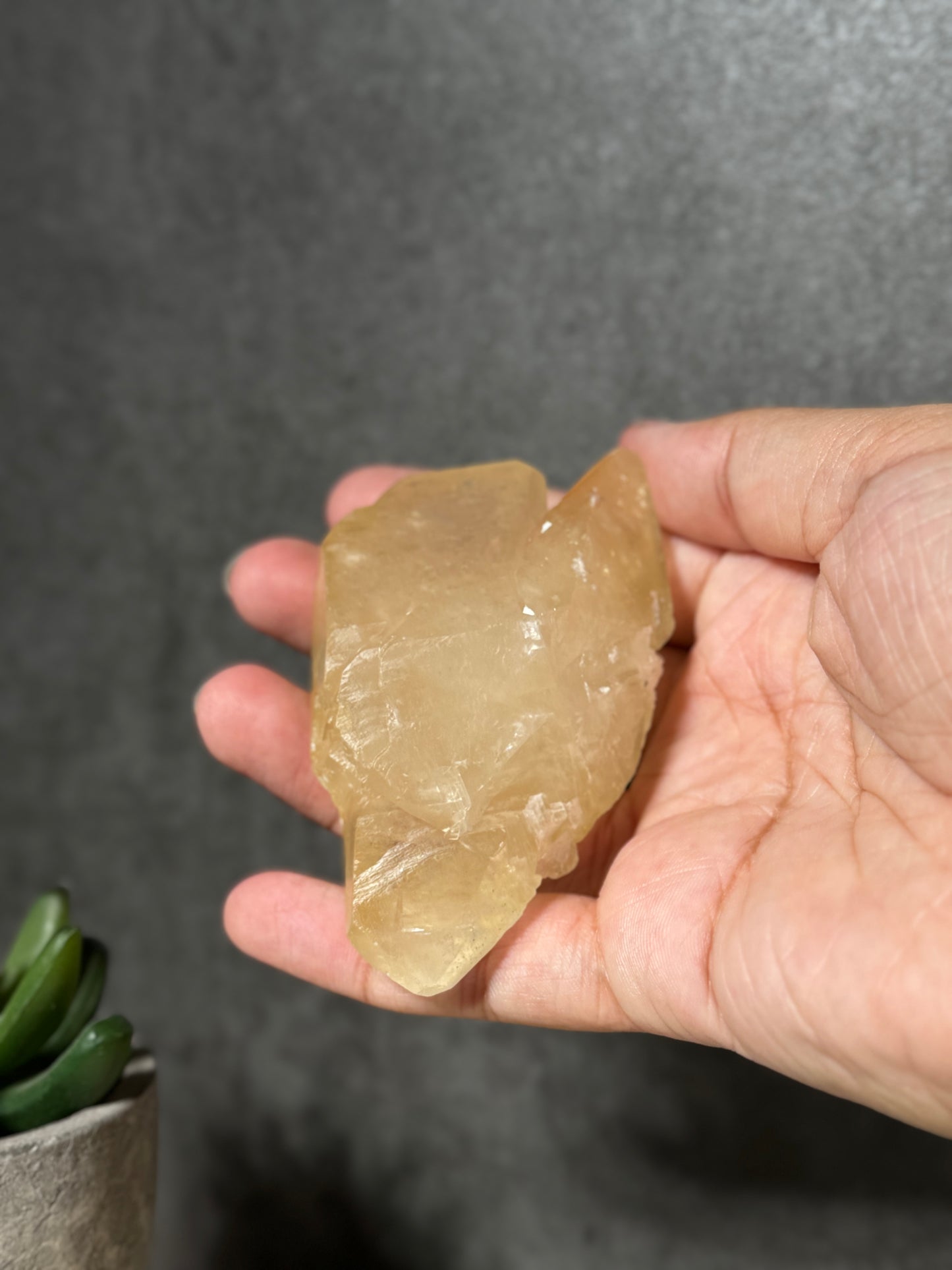 Golden Dogtooth Calcite