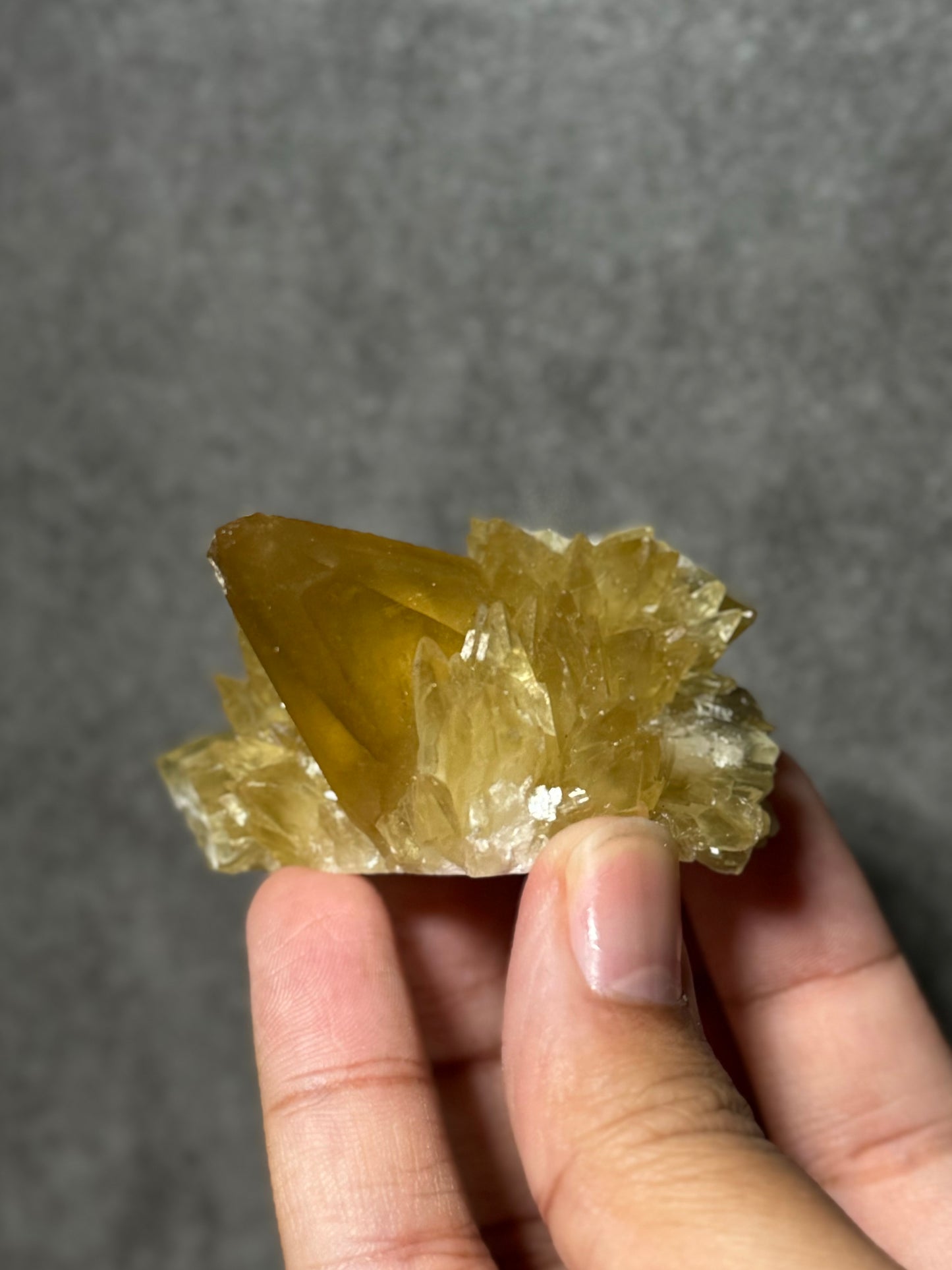 Golden Dogtooth Calcite Cluster