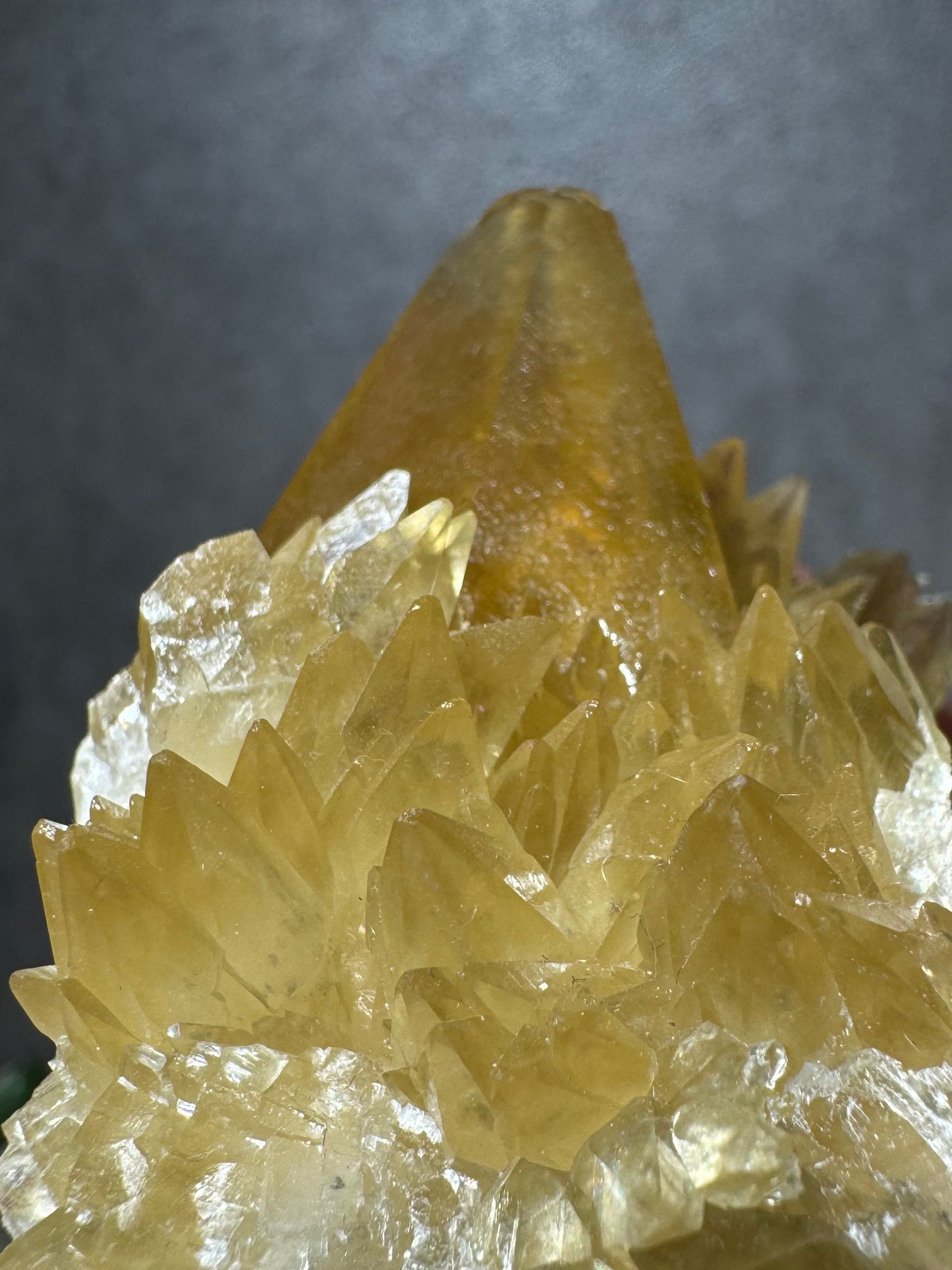 Golden Dogtooth Calcite Cluster