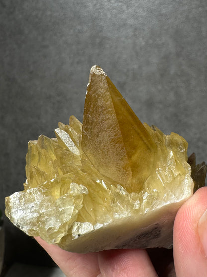 Golden Dogtooth Calcite Cluster