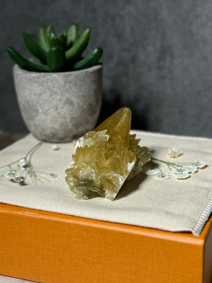 Golden Dogtooth Calcite Cluster