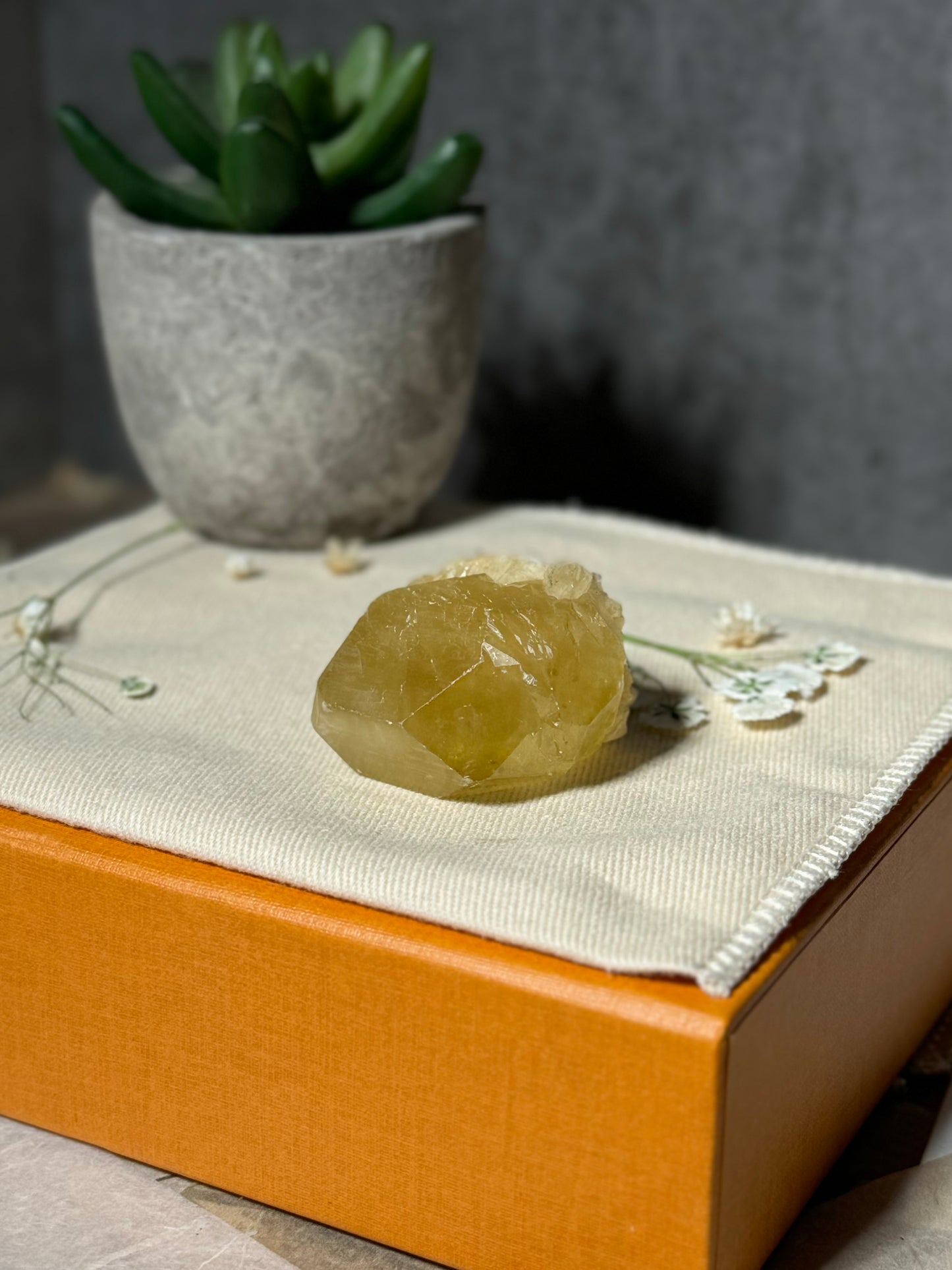 Golden Calcite