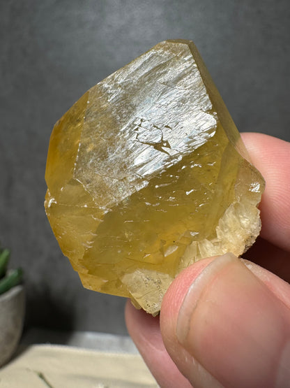 Golden Calcite