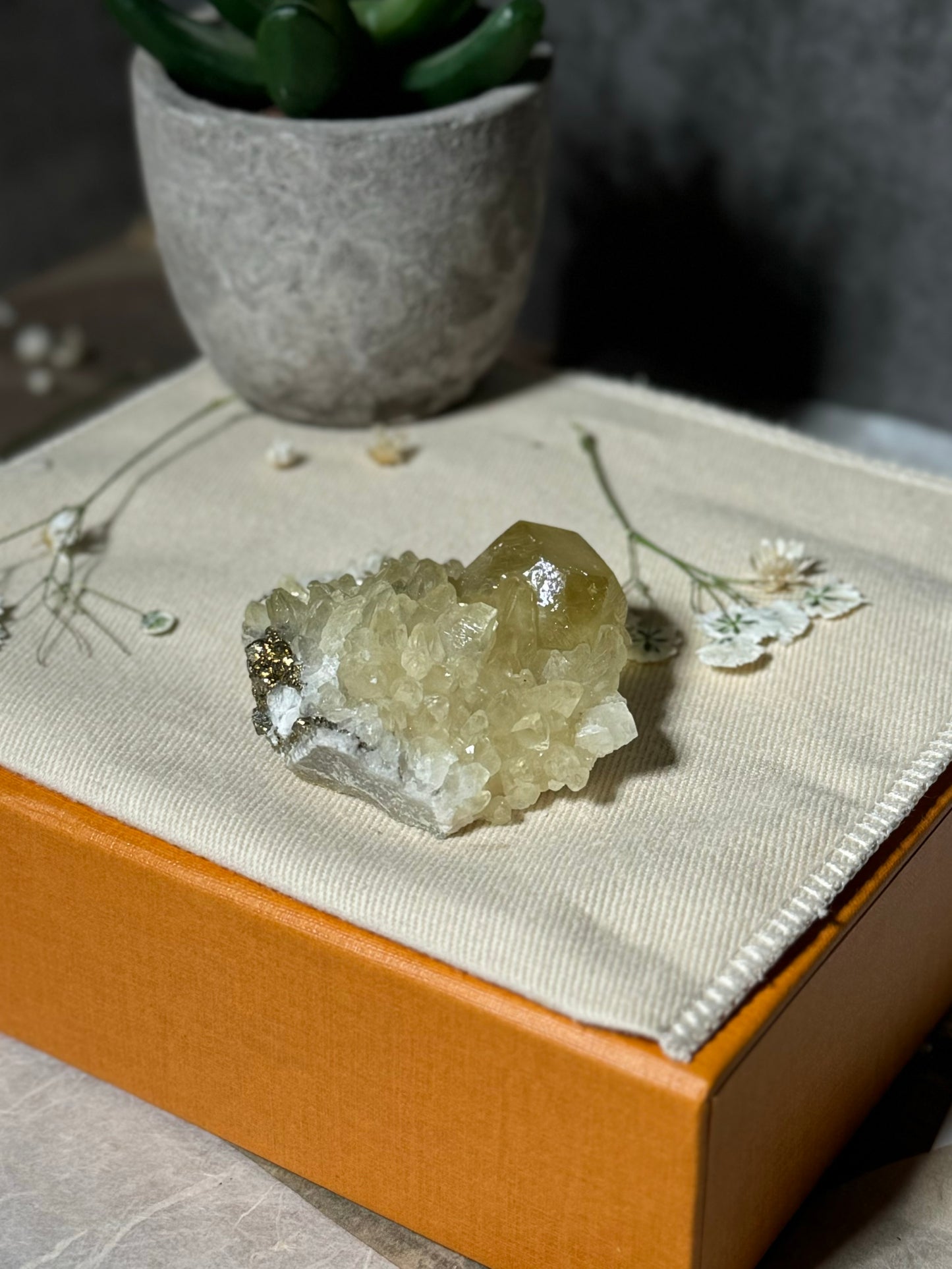 Golden Calcite on Doogtooth Calcite