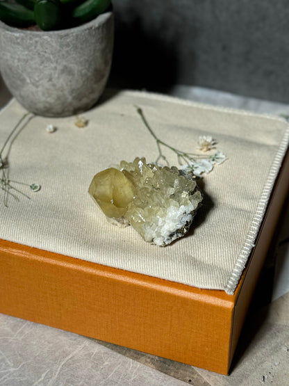 Golden Calcite on Doogtooth Calcite