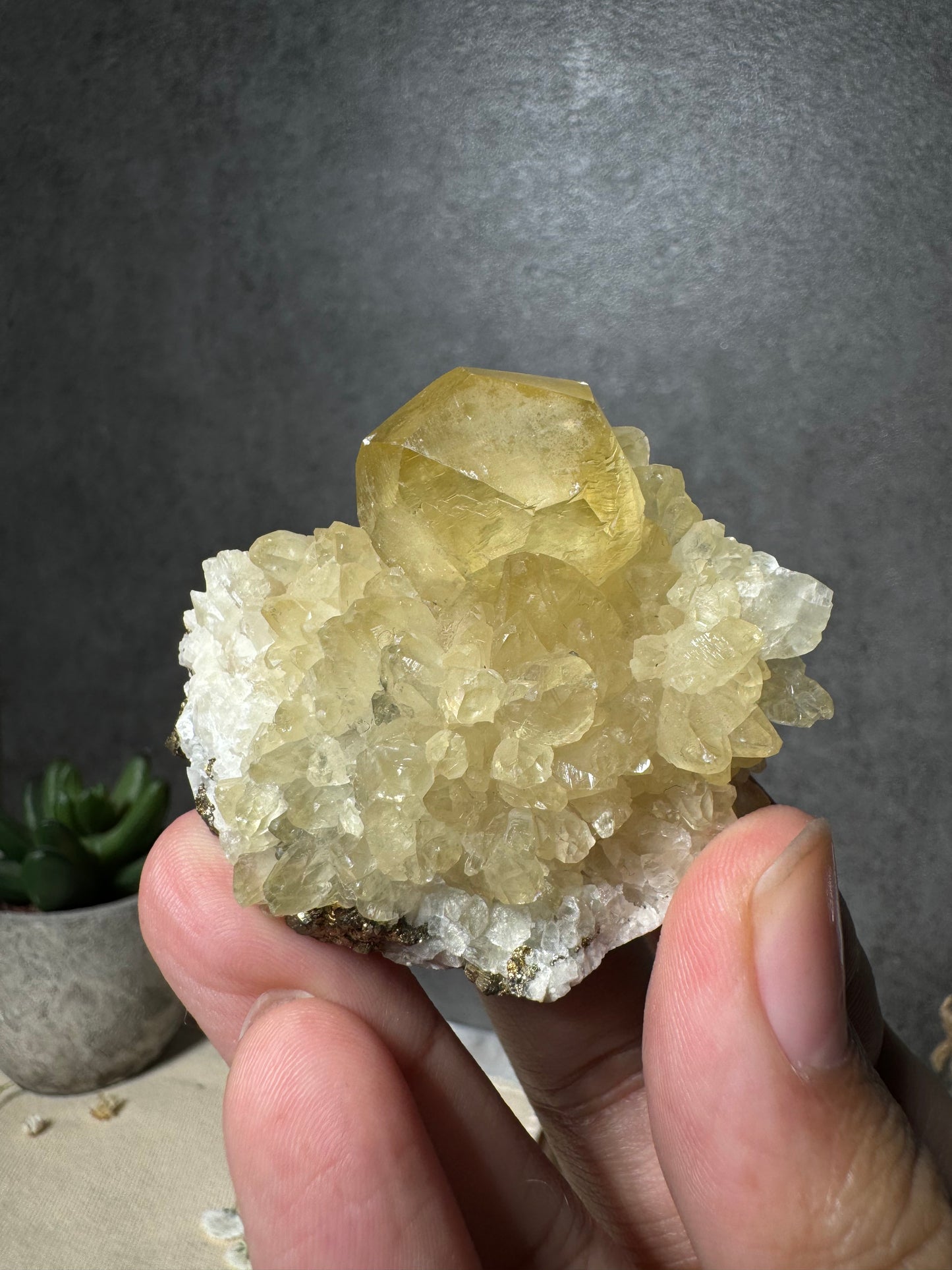 Golden Calcite on Doogtooth Calcite