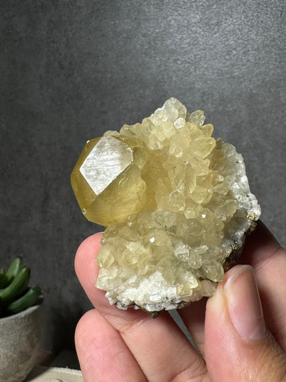 Golden Calcite on Doogtooth Calcite