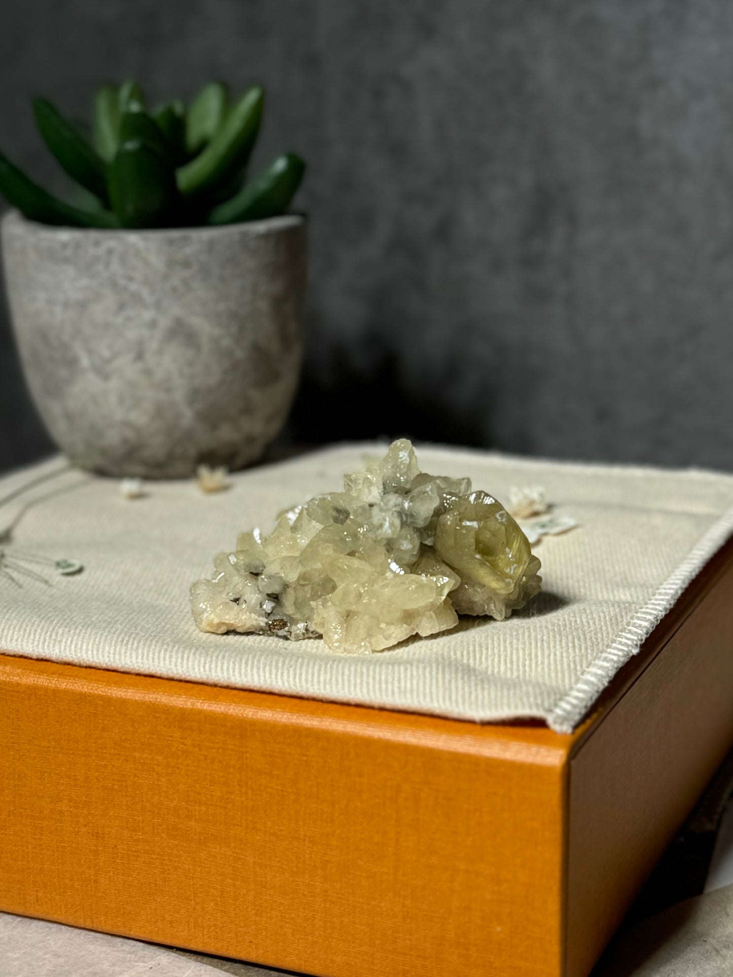 Golden Calcite on Dogtooth Calcite