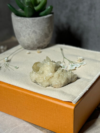 Golden Calcite on Dogtooth Calcite