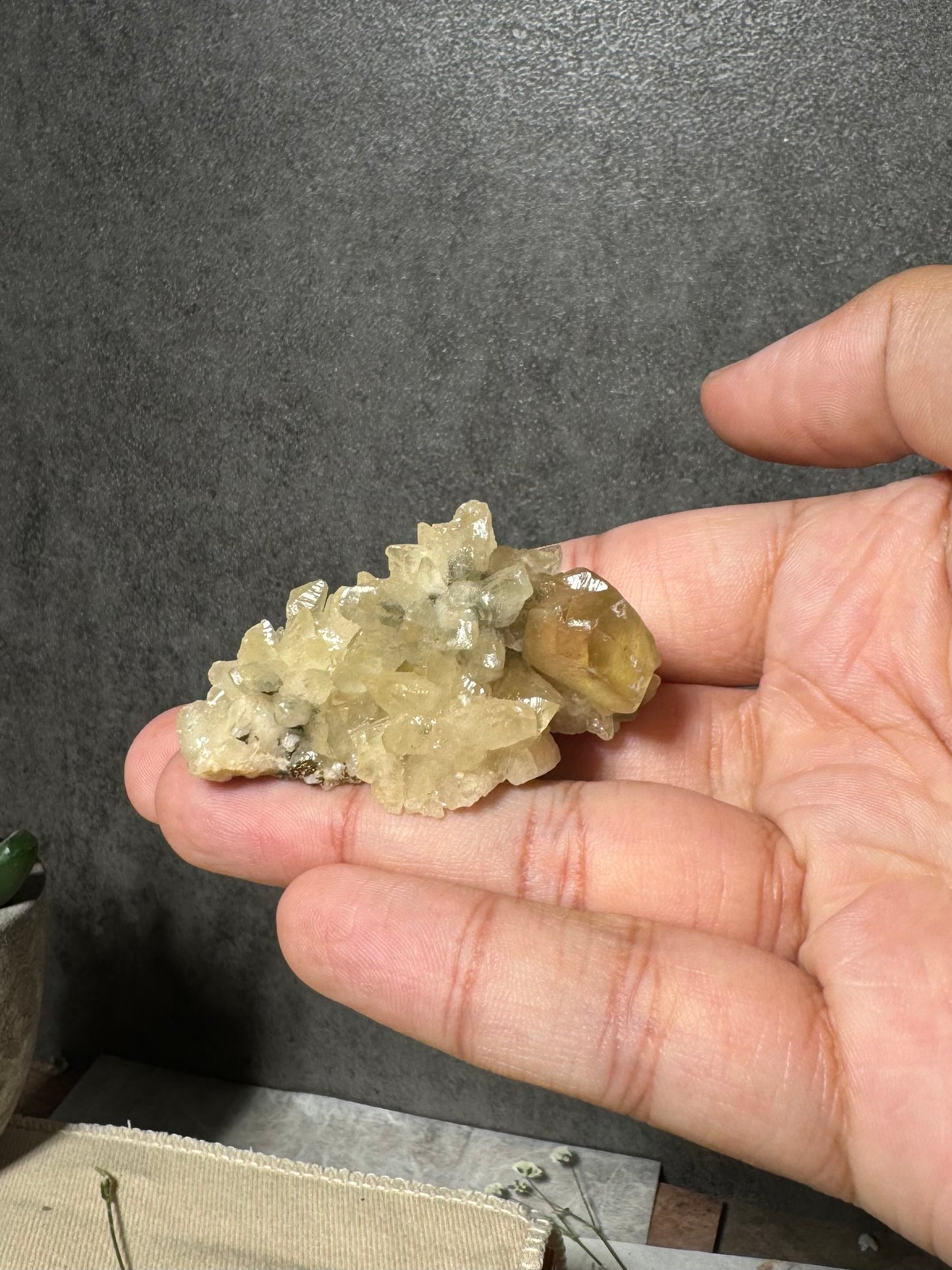 Golden Calcite on Dogtooth Calcite