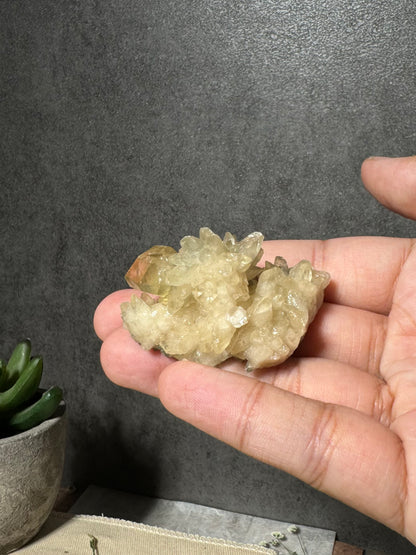 Golden Calcite on Dogtooth Calcite