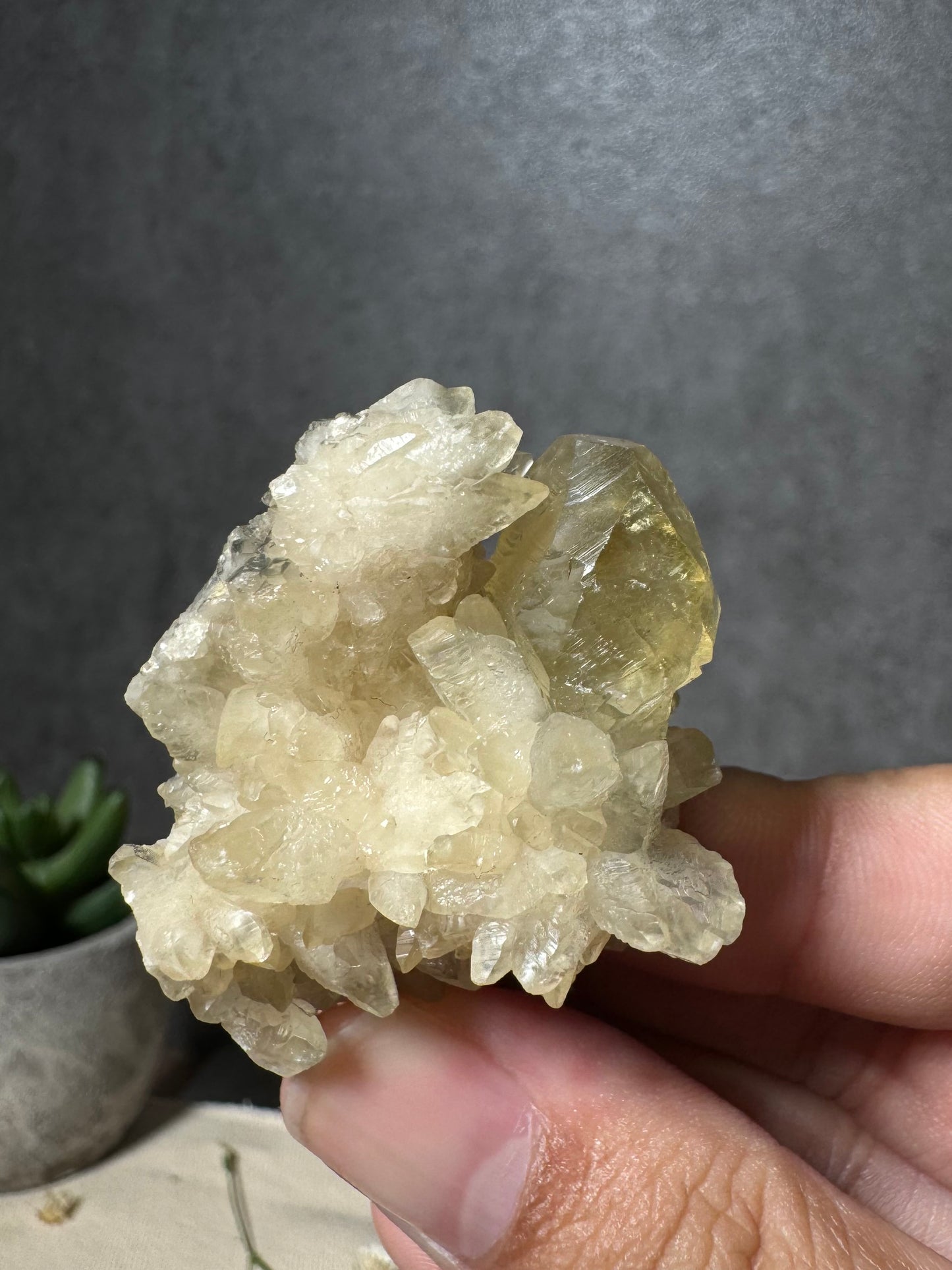 Golden Calcite on Dogtooth Calcite