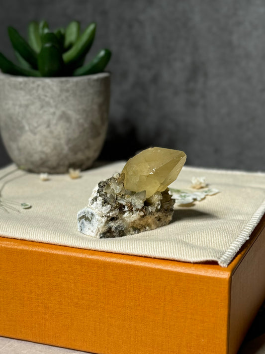 Golden Dogtooth Calcite on Matrix