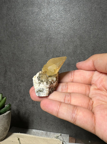 Golden Dogtooth Calcite on Matrix