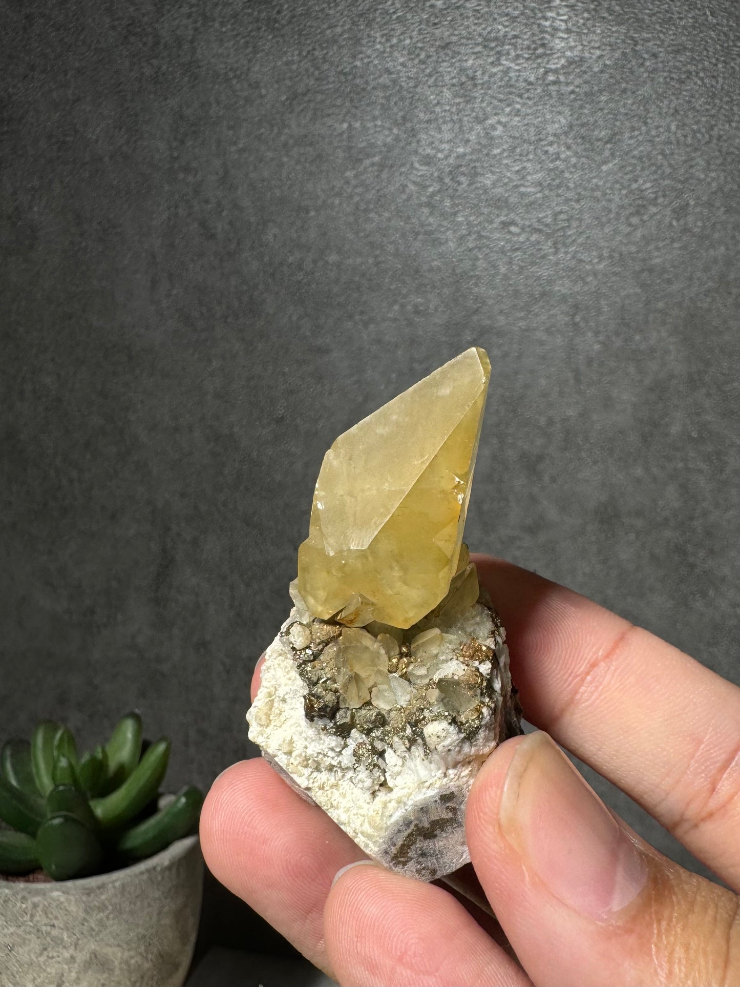 Golden Dogtooth Calcite on Matrix